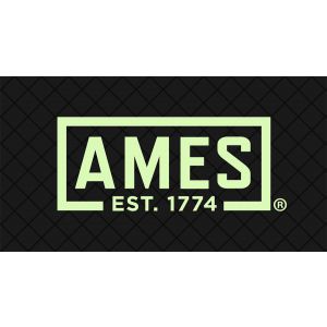  AMES logo 